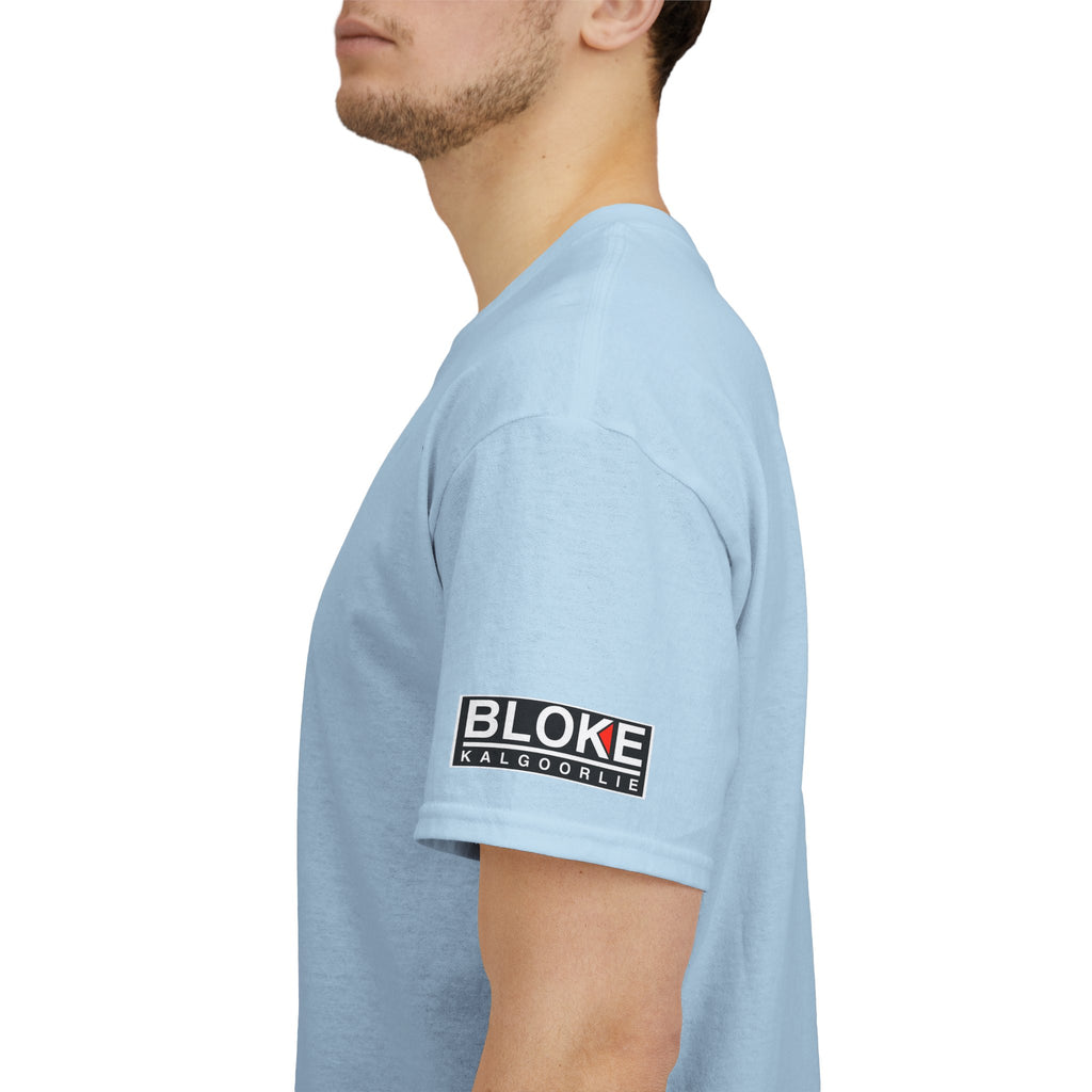 Anyone Seen My Cat?...Here TEMU TEMU TEMU - Unisex Heavy Cotton Tee